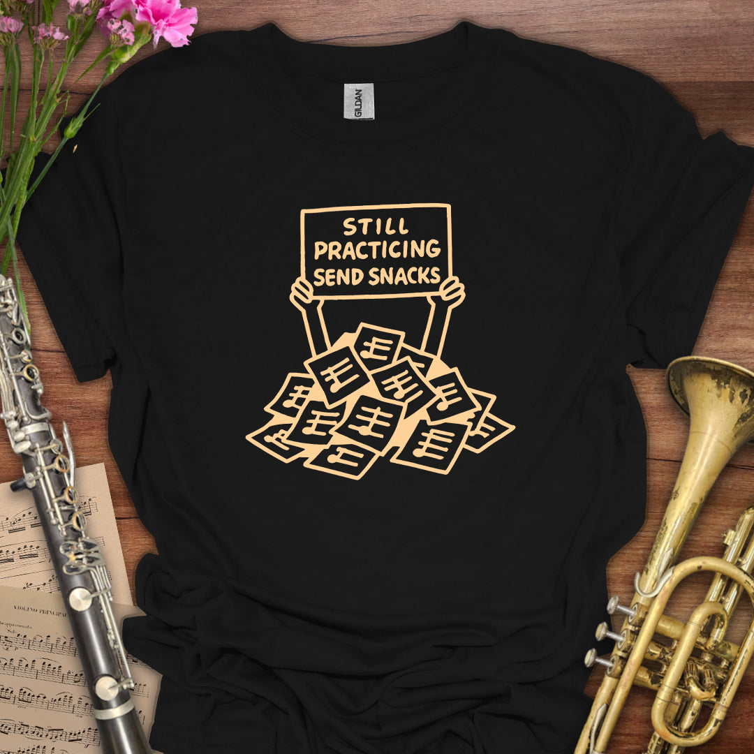 Still Practicing Send Snacks T-Shirt