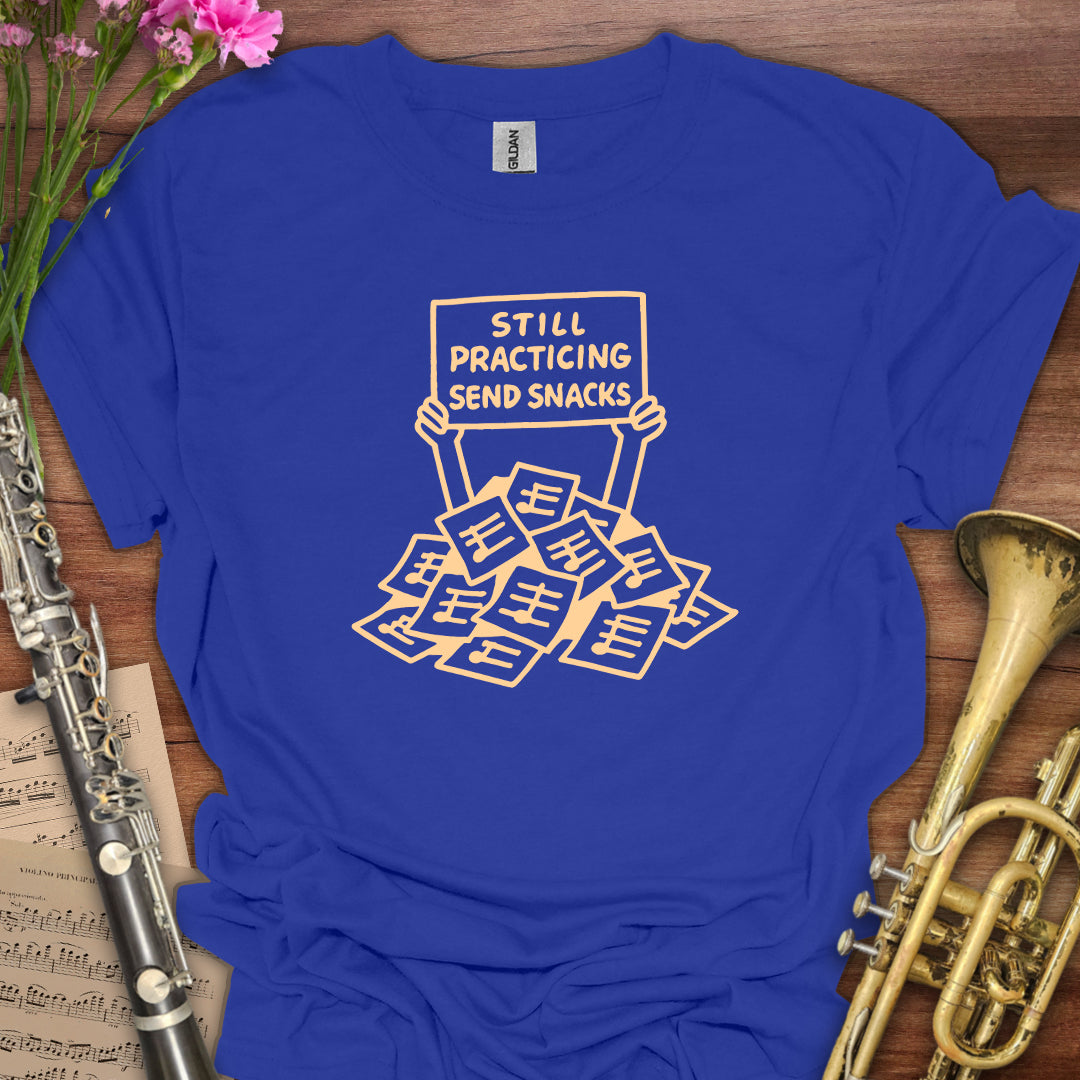 Still Practicing Send Snacks T-Shirt